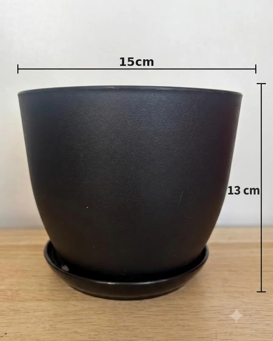 MACETERO NEGRO MATE 15 CMS. CON PLATO BASE 🖤🌿